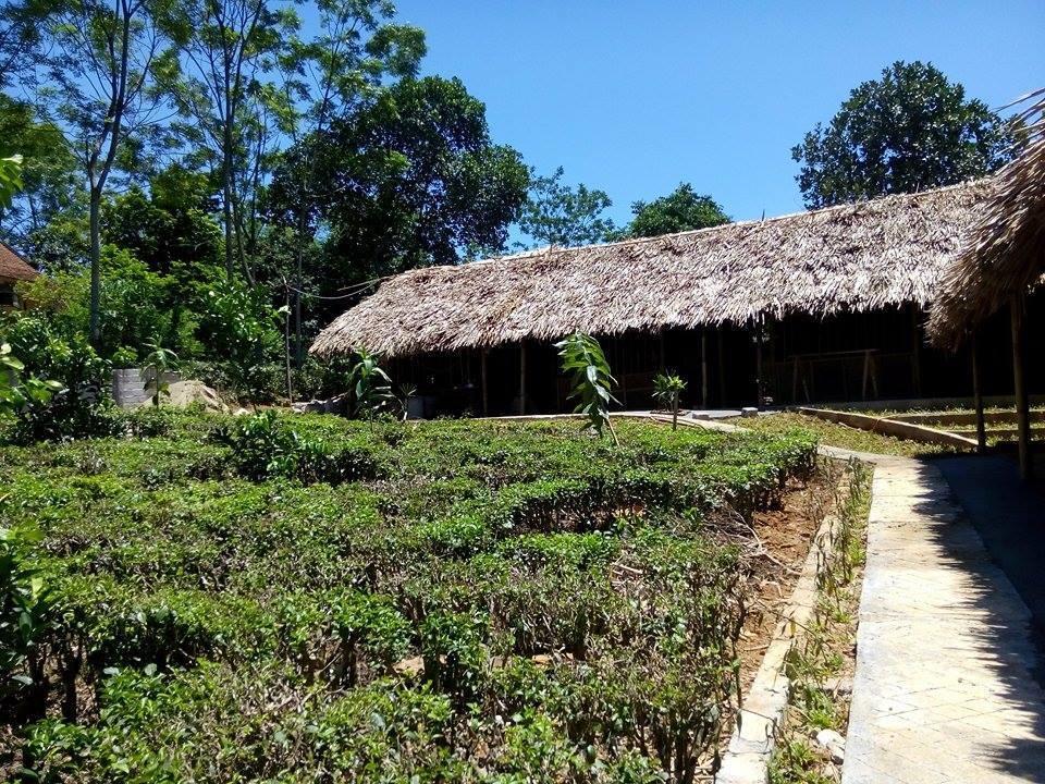 Family Homestay Ba Vi Rum bild