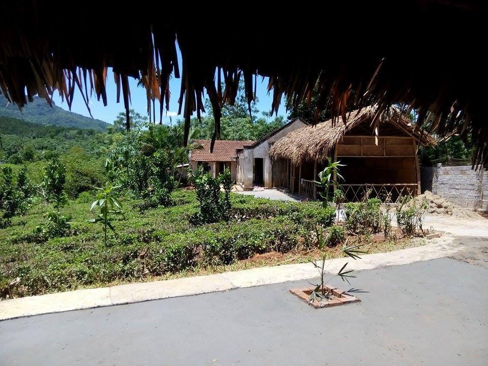 Family Homestay Ba Vi Exteriör bild