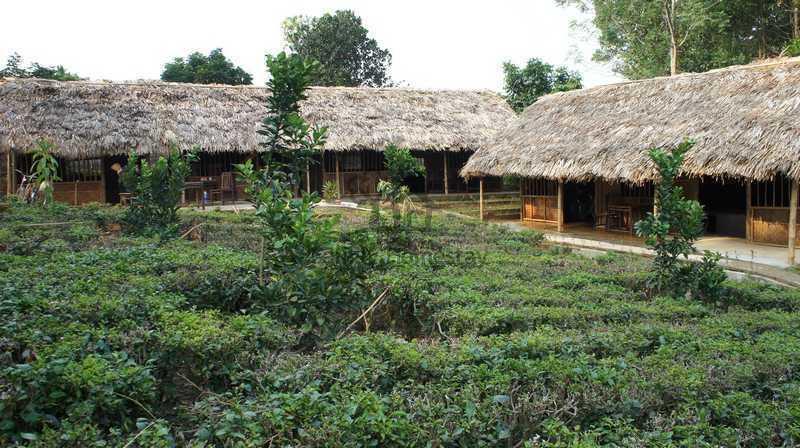 Family Homestay Ba Vi Rum bild
